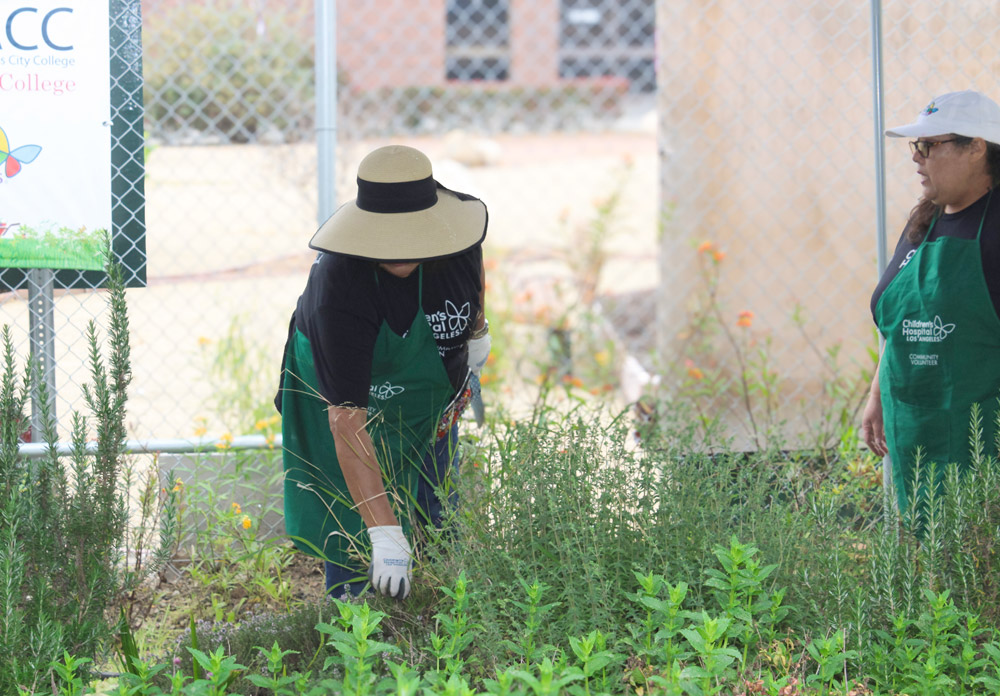 LACC Earth Day gardening